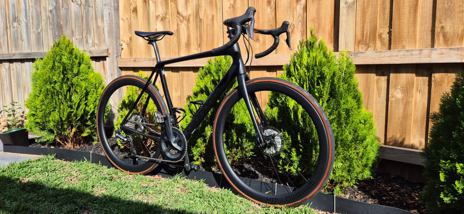 Cannondale  Synapse (2019)