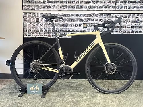 Cipollini Dolomia (2022)