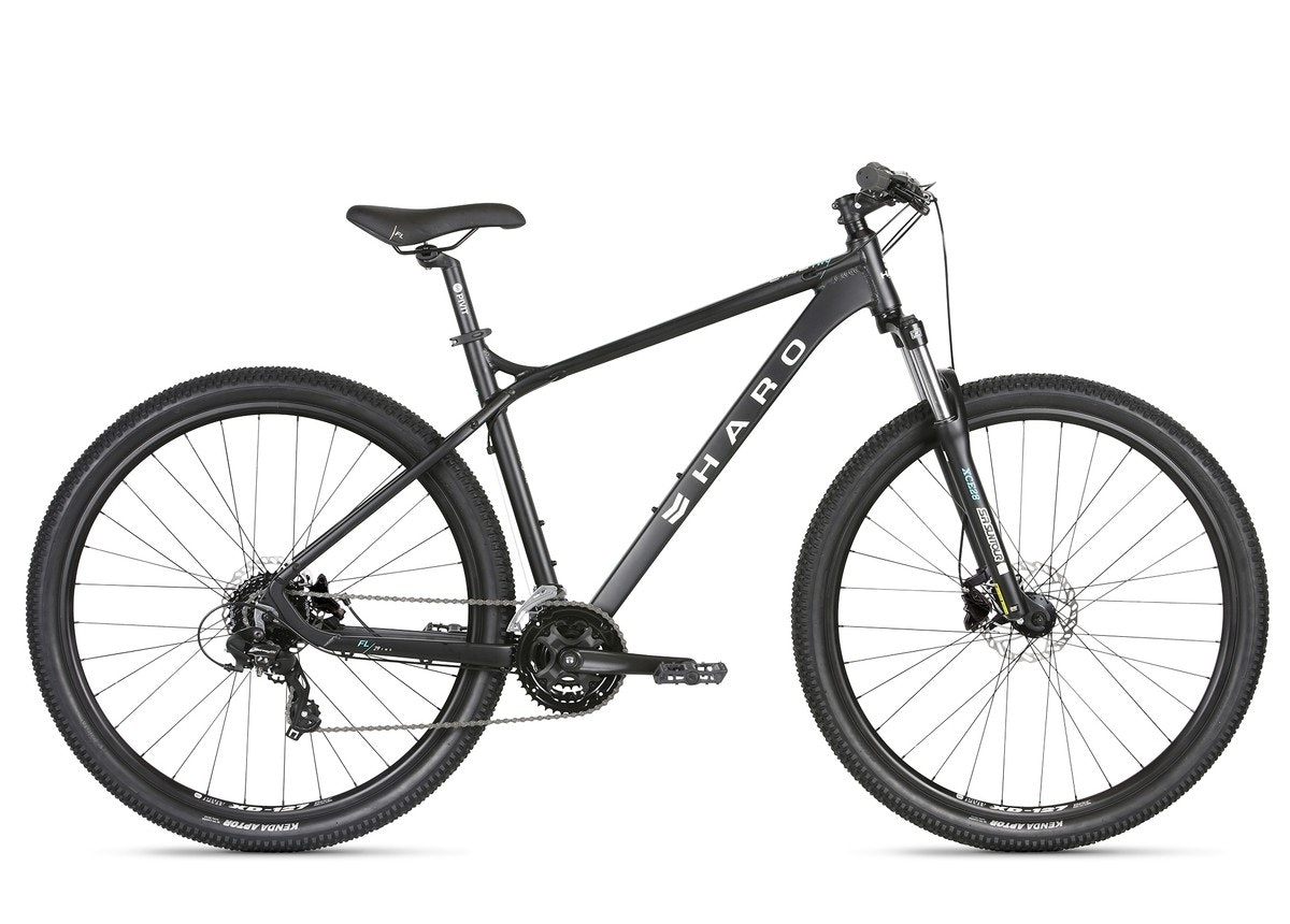 Haro Flightline Two 29r DLX (2022)