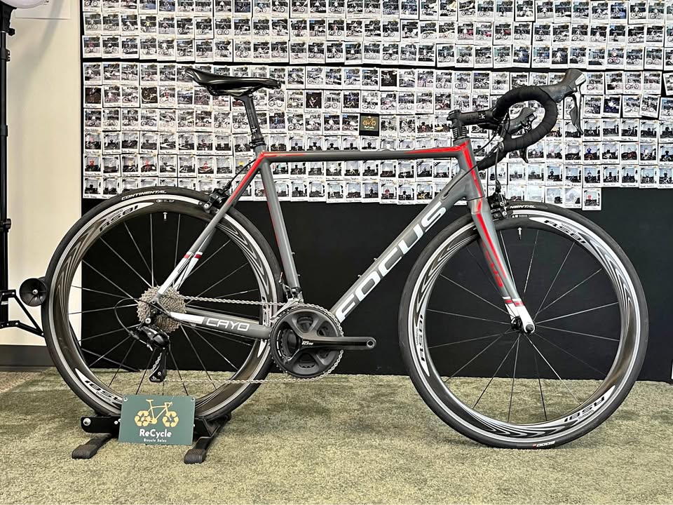 Focus Cayo Alu (2016)