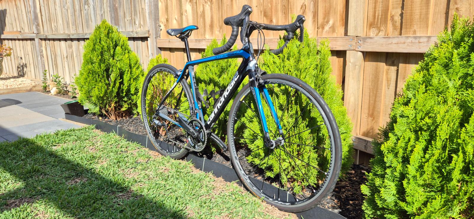 Cannondale Synapse  (2017)