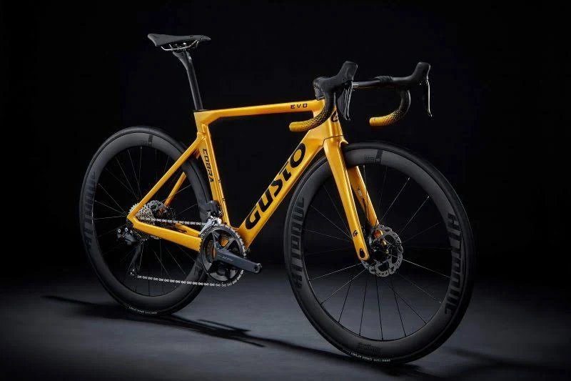 GUSTO COBRA EVO DISC