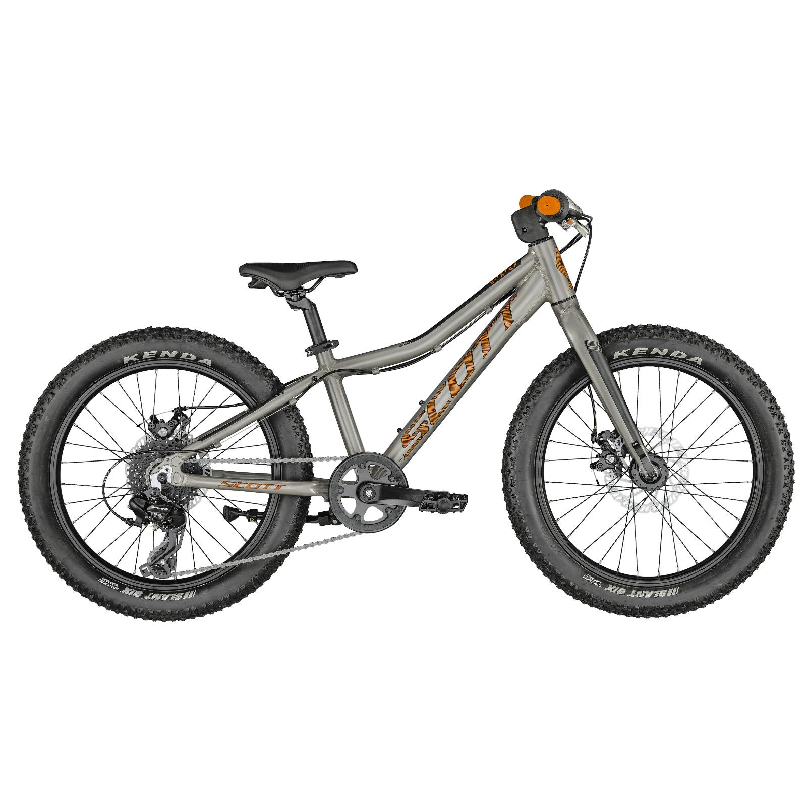 Scott Roxter 20 (2024)