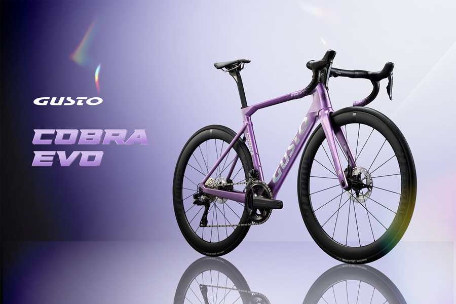 GUSTO COBRA EVO DISC